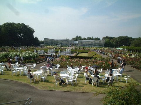 神代植物公園遠景