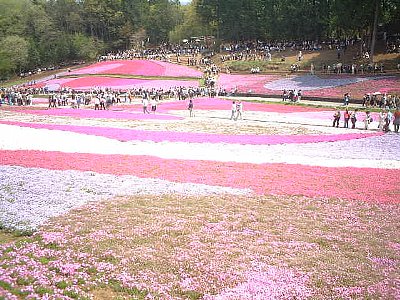 羊山公園