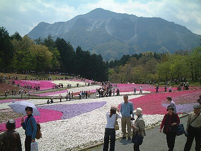 武甲山をバックに