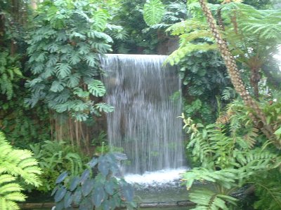 温室内の滝