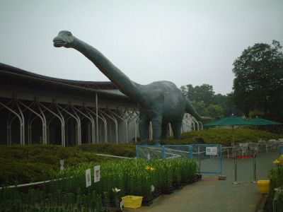 大きな恐竜の模型