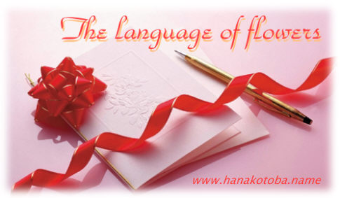 the language of flowers