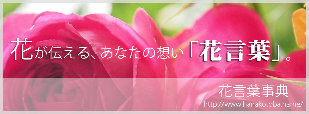 花言葉事典：花ことばは自然からの贈りもの 花言葉を花のなまえで表示する辞典サイト